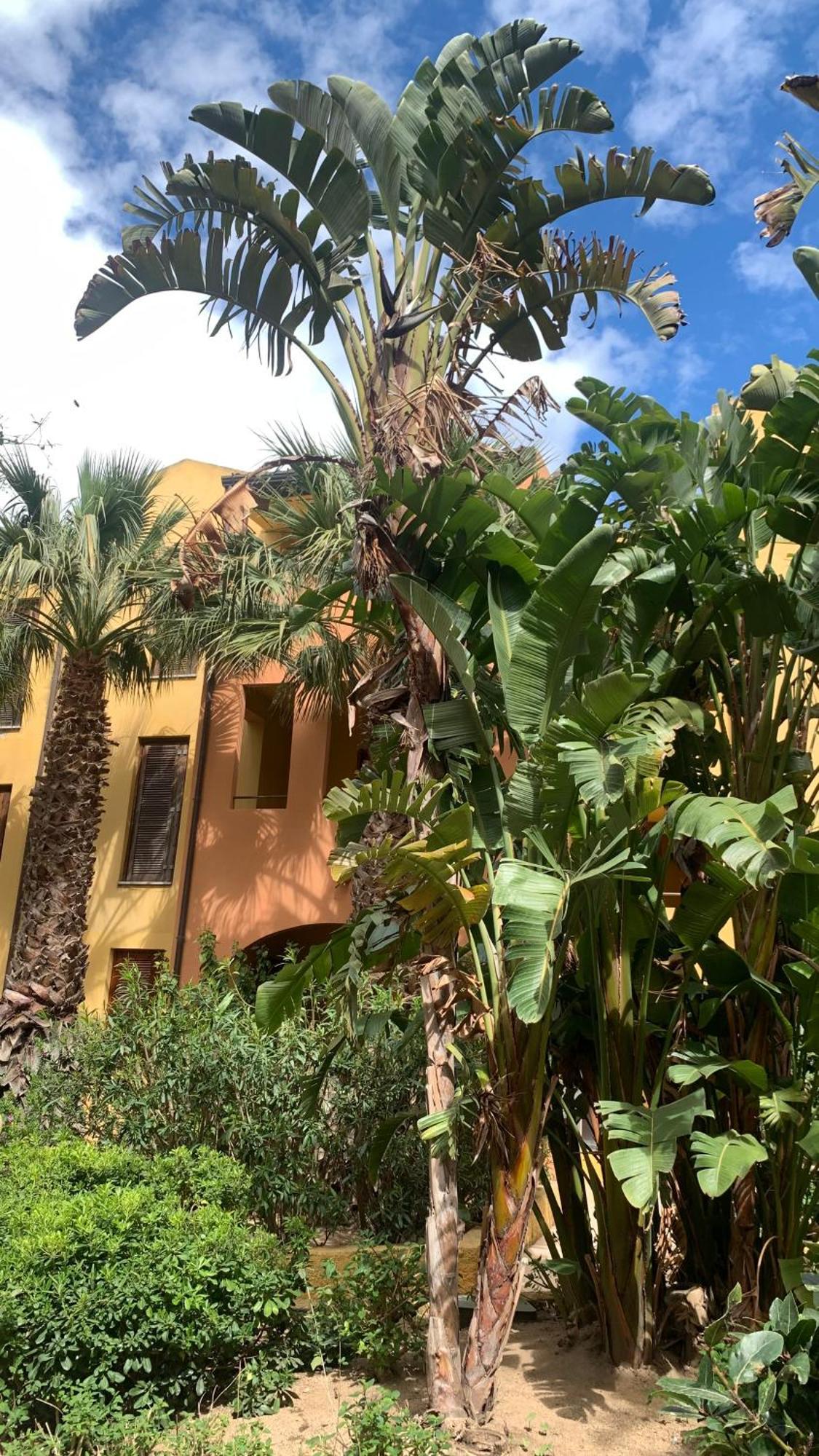 Nest House - Esclusivo Appartamento Marina Di Olbia- Mater Olbia - Beaches - Close To The Airport - Private Parking- Full Comforts - Bagian luar foto